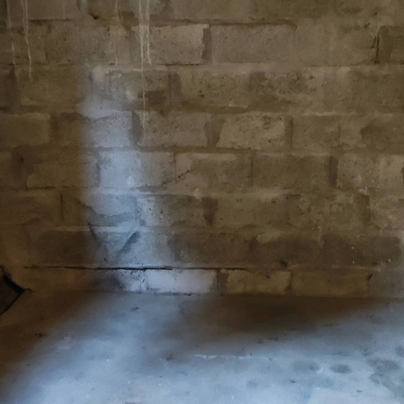 XL SERVICES Apres 203