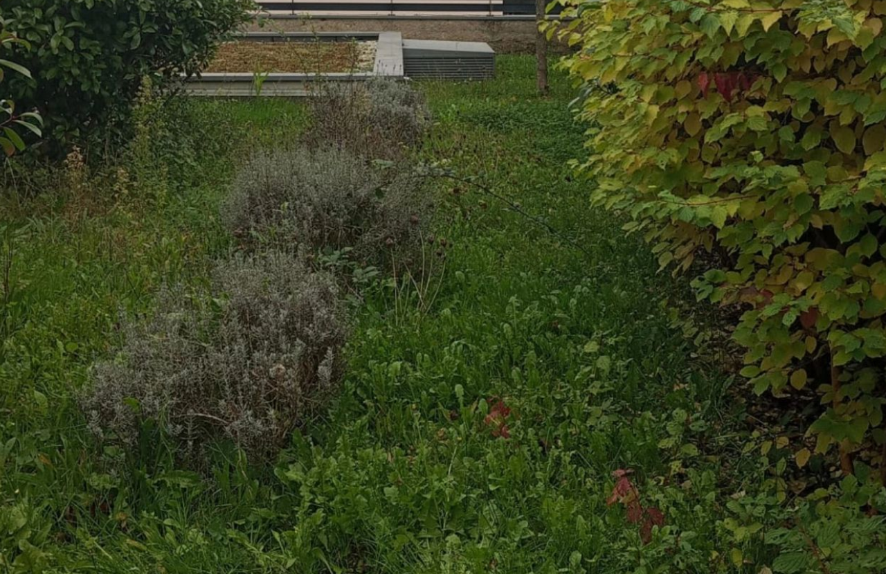 Xl Services Espace Vert (home Page Prestations) 1 210