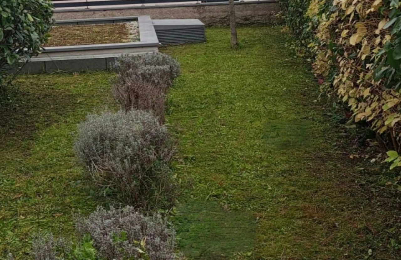 Xl Services Espace Vert (home Page Prestations) 2 211