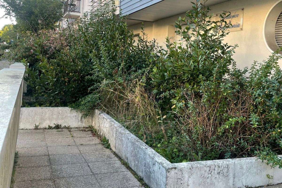 XL SERVICES Avant 202